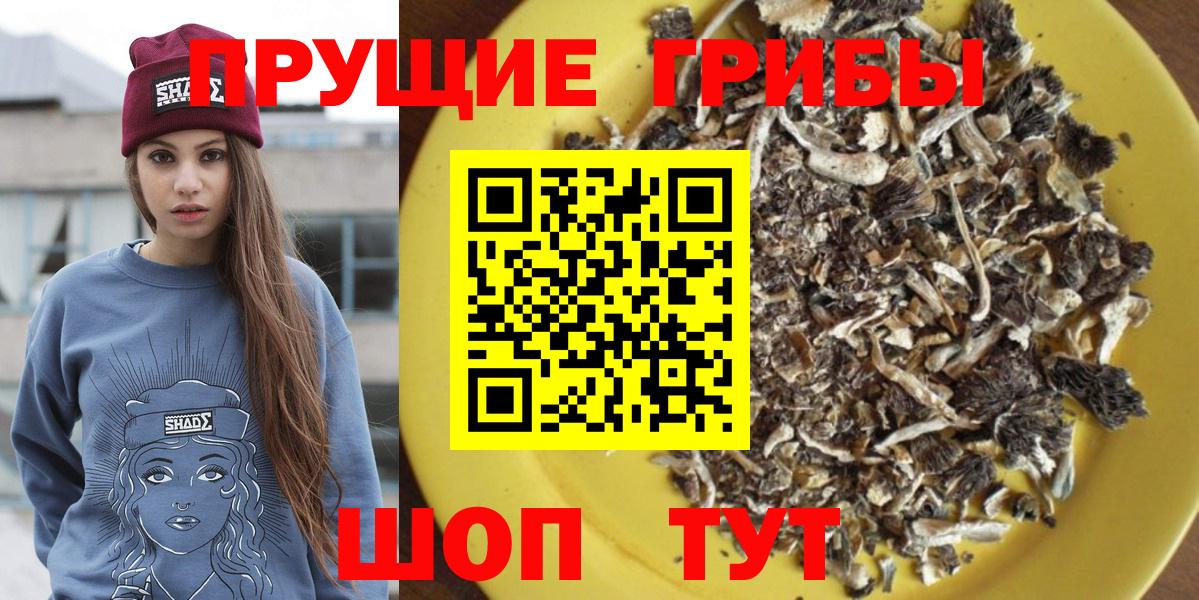 Галлюциногенные грибы Magic Shrooms  наркошоп  Ревда  Вход с VPN 